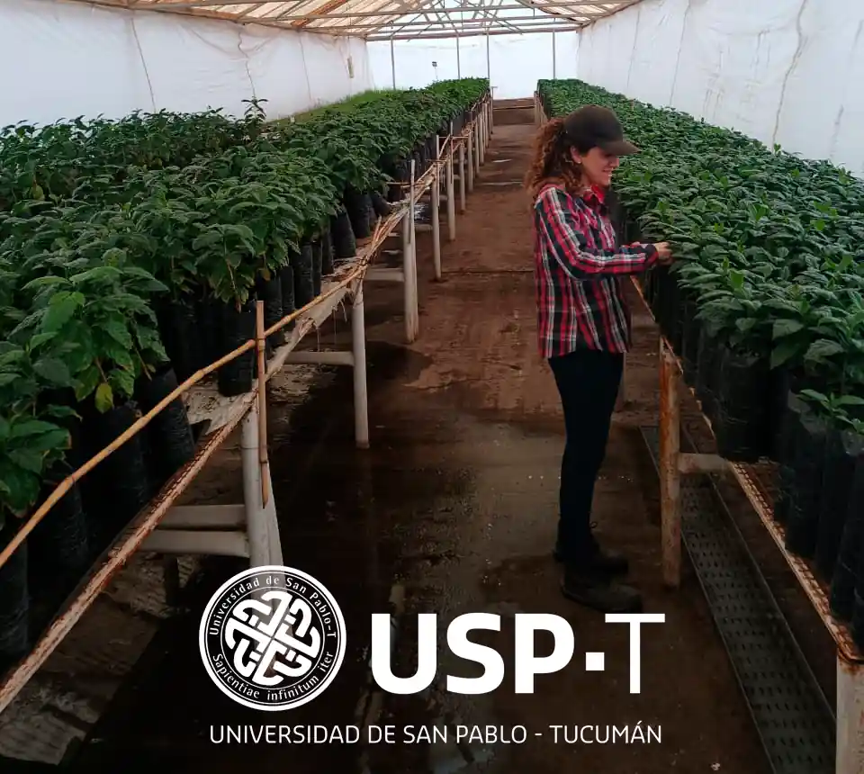 USP-T